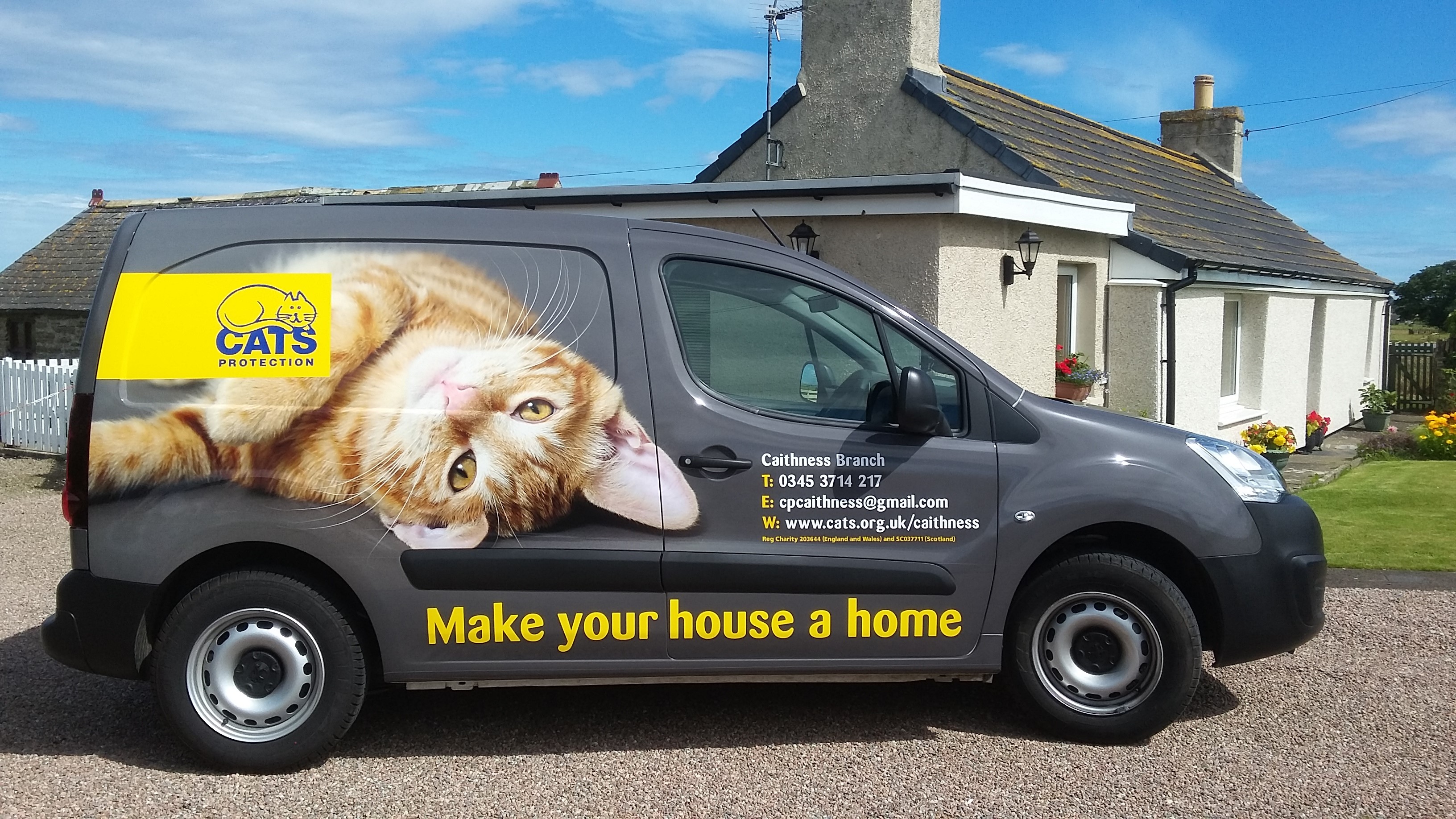 to Cats Protection Caithness